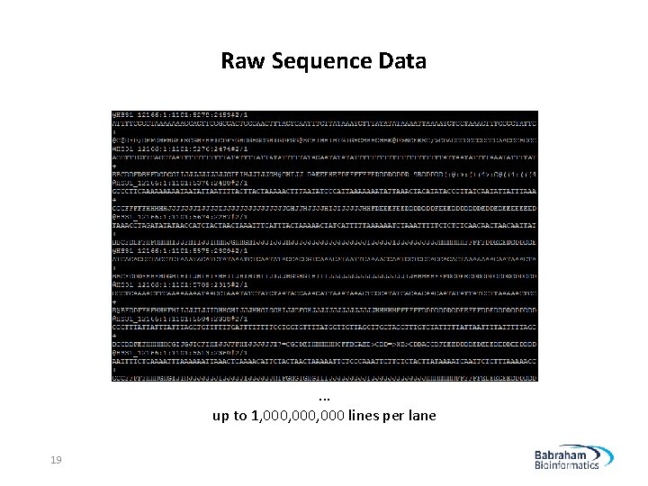 Raw Sequence Data . . . up to 1, 000, 000 lines per lane