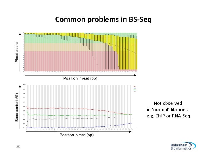 Common problems in BS-Seq Not observed in ‘normal’ libraries, e. g. Ch. IP or