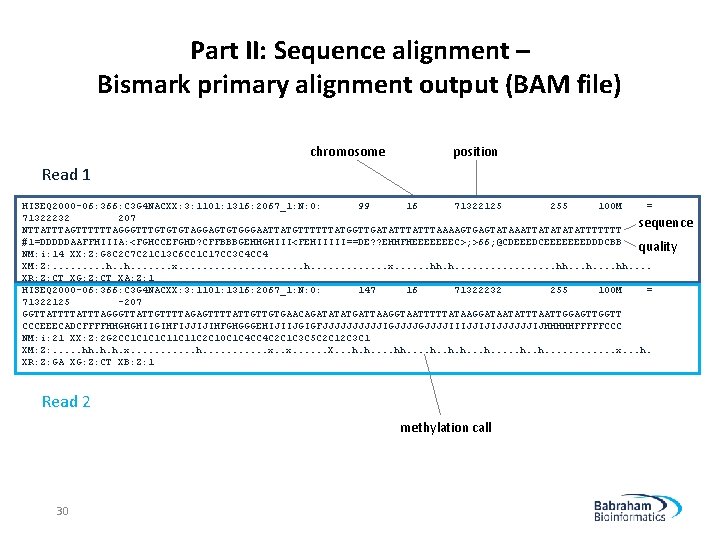 Part II: Sequence alignment – Bismark primary alignment output (BAM file) chromosome position Read