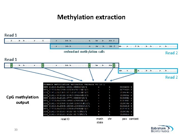 Methylation extraction Read 1. . Z. . . h. . . . x. .