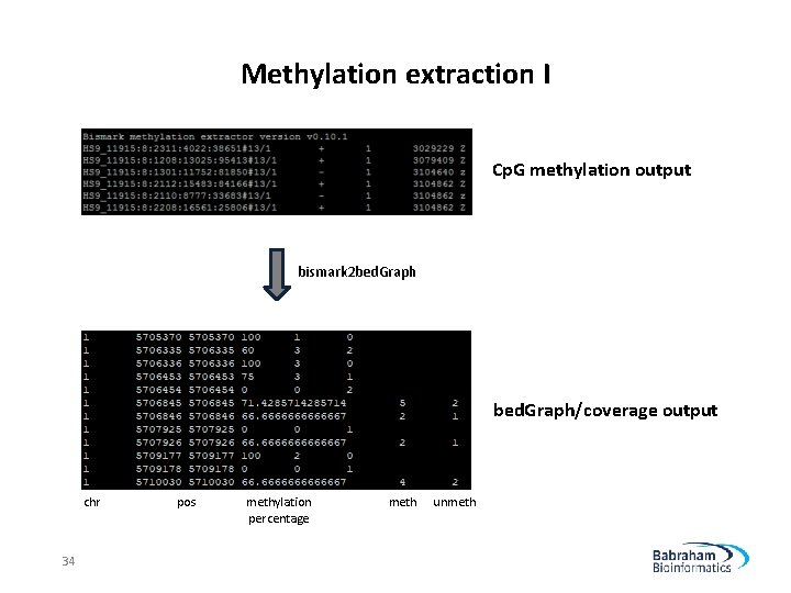 Methylation extraction I Cp. G methylation output bismark 2 bed. Graph/coverage output chr 34