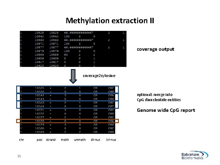 Methylation extraction II coverage output coverage 2 cytosine optional: merge into Cp. G dinucleotide