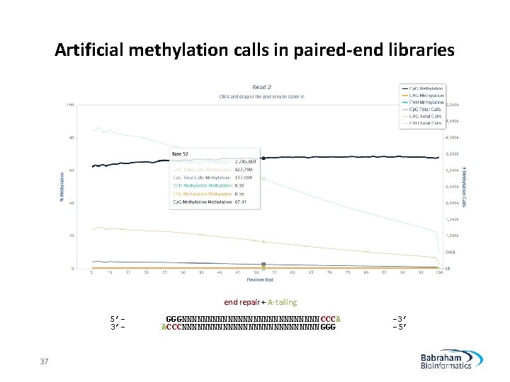 Artificial methylation calls in paired-end libraries end repair + A-tailing 5’ 3’- 37 GGGNNNNNNNNNNNNNN