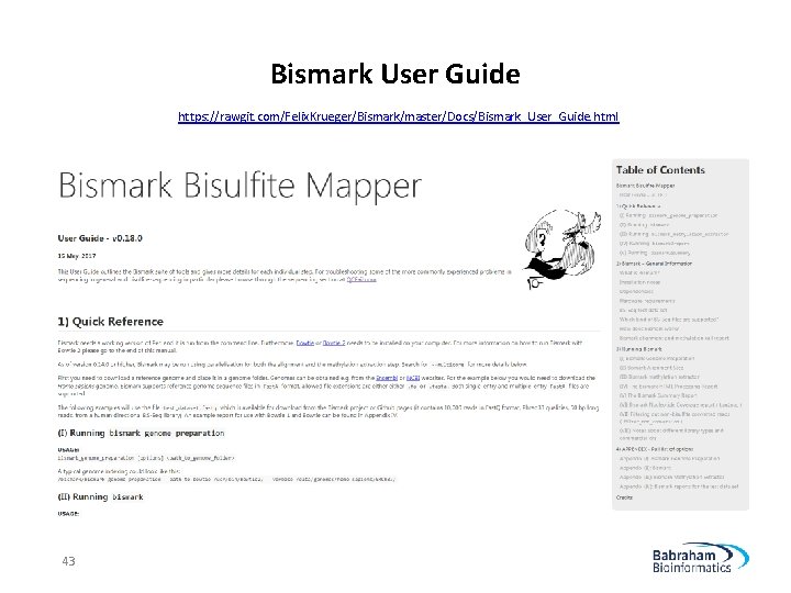 Bismark User Guide https: //rawgit. com/Felix. Krueger/Bismark/master/Docs/Bismark_User_Guide. html 43 