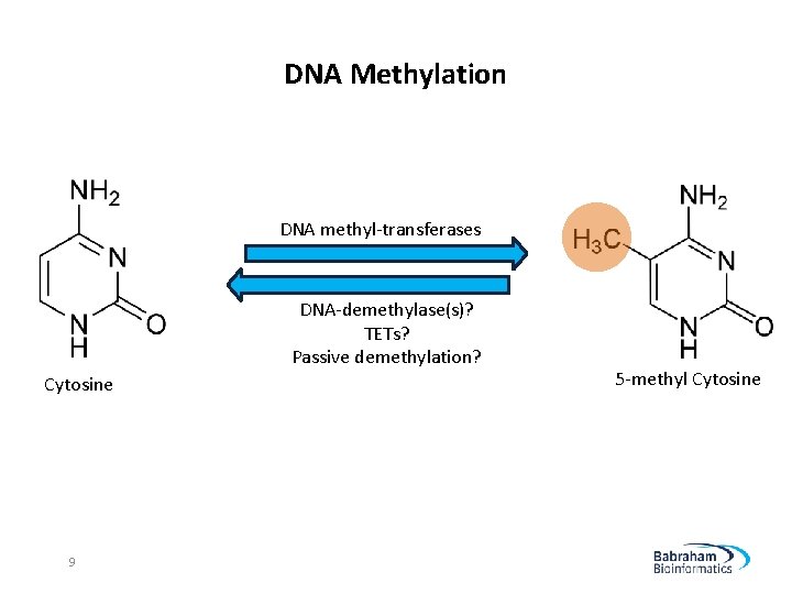 DNA Methylation DNA methyl-transferases DNA-demethylase(s)? TETs? Passive demethylation? Cytosine 9 5 -methyl Cytosine 