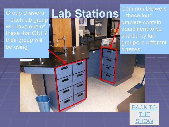 Group Drawers – each lab group will have one of these that ONLY their