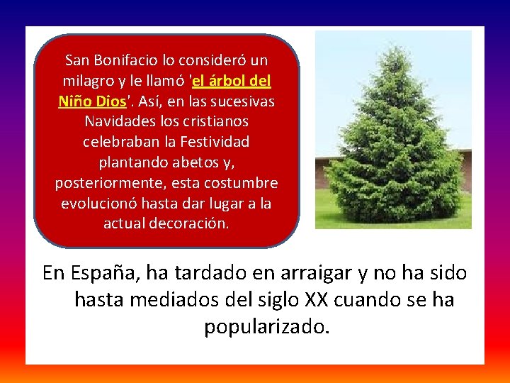  San Bonifacio lo consideró un milagro y le llamó 'el árbol del Niño