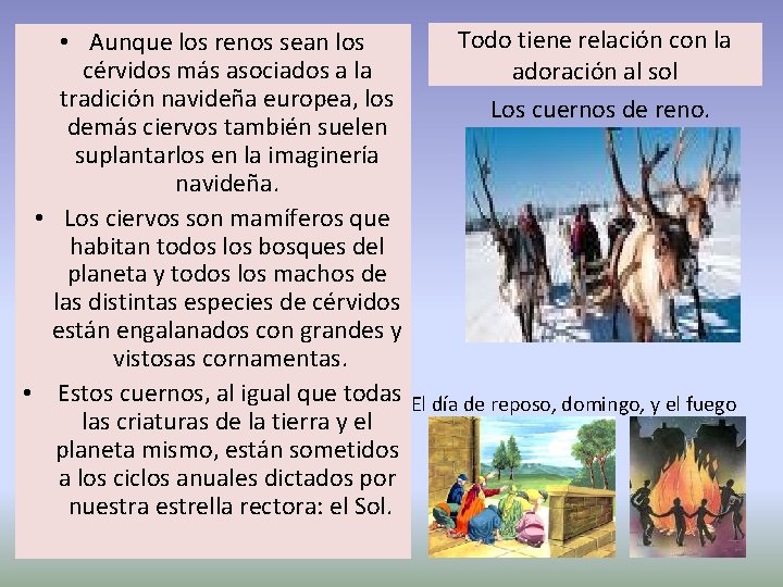 Todo tiene relación con la • Aunque los renos sean los cérvidos más asociados