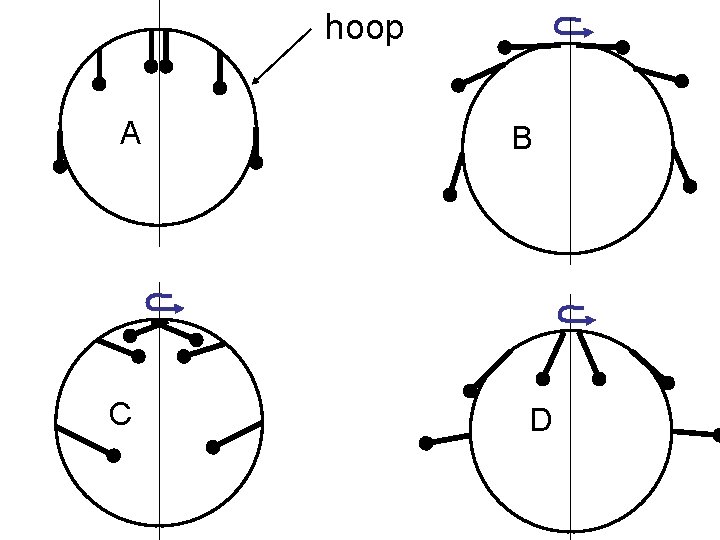 hoop A C B D 