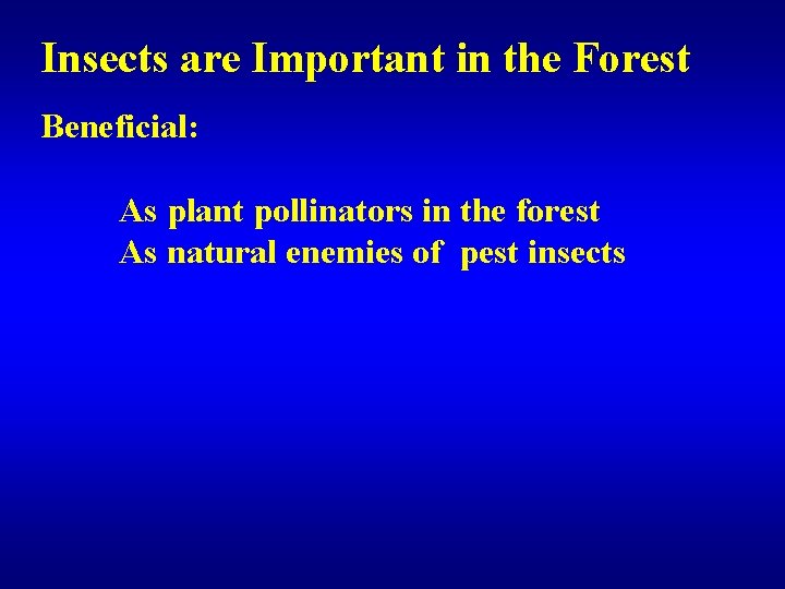 Insects are Important in the Forest Beneficial: As plant pollinators in the forest As