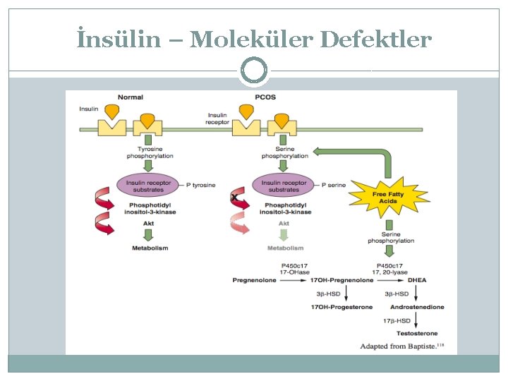 İnsülin – Moleküler Defektler 