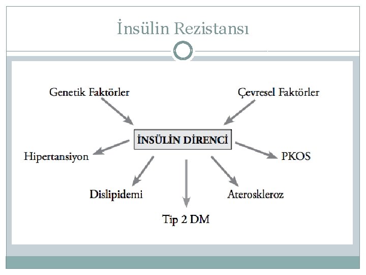 İnsülin Rezistansı 