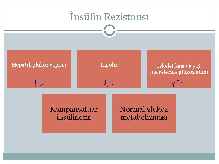 İnsülin Rezistansı Hepatik glukoz yapımı Kompansatuar insülinemi Lipoliz İskelet kası ve yağ hücrelerine glukoz
