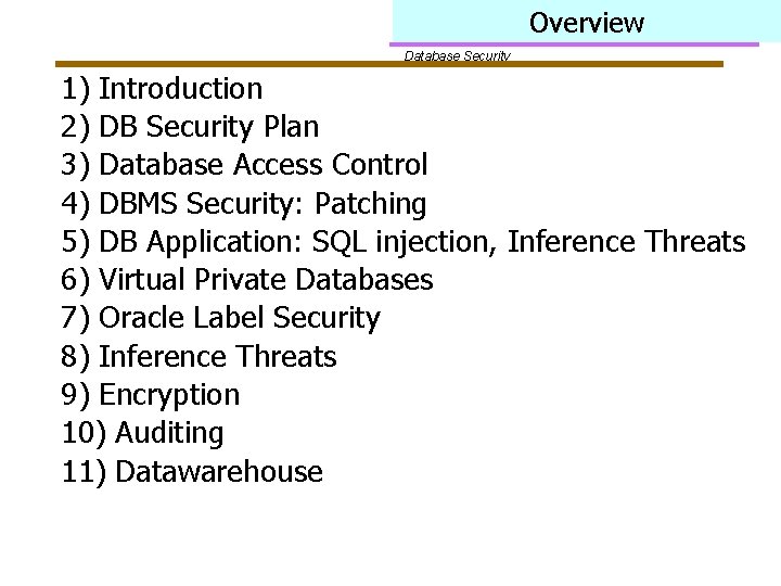 Overview Database Security 1) Introduction 2) DB Security Plan 3) Database Access Control 4)
