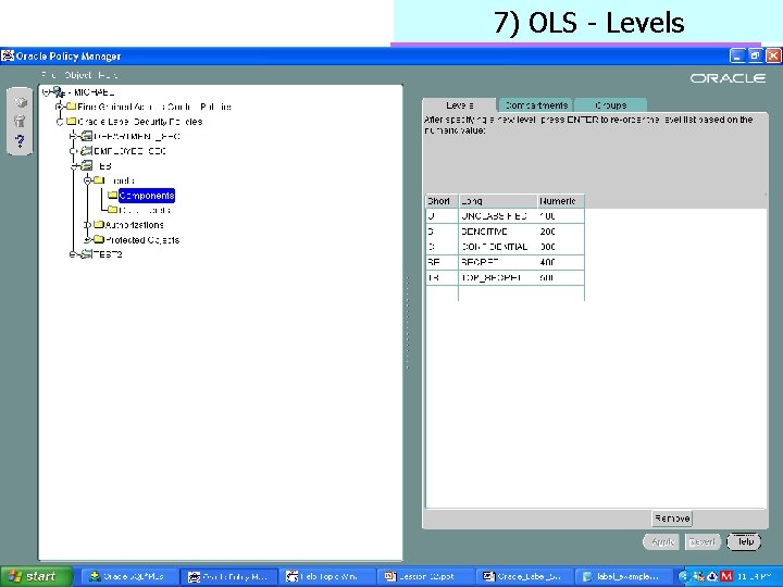 7) OLS - Levels Database Security 