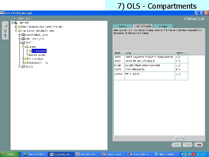 7) OLS - Compartments Database Security 