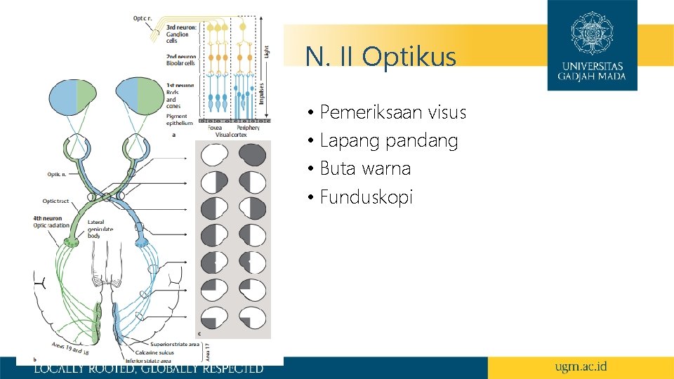 N. I Olfaktorius N. II Optikus • Pemeriksaan visus • Lapang pandang • Buta