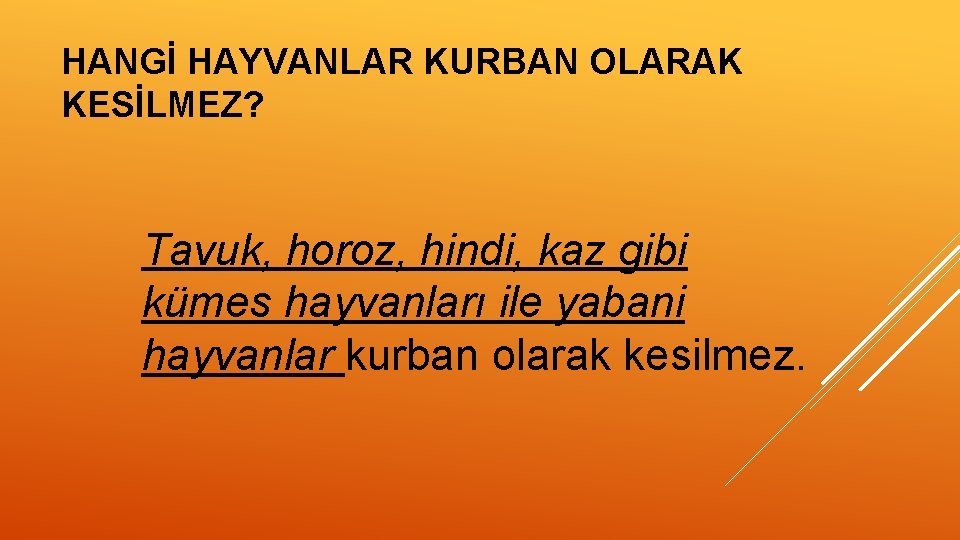 HANGİ HAYVANLAR KURBAN OLARAK KESİLMEZ? Tavuk, horoz, hindi, kaz gibi kümes hayvanları ile yabani