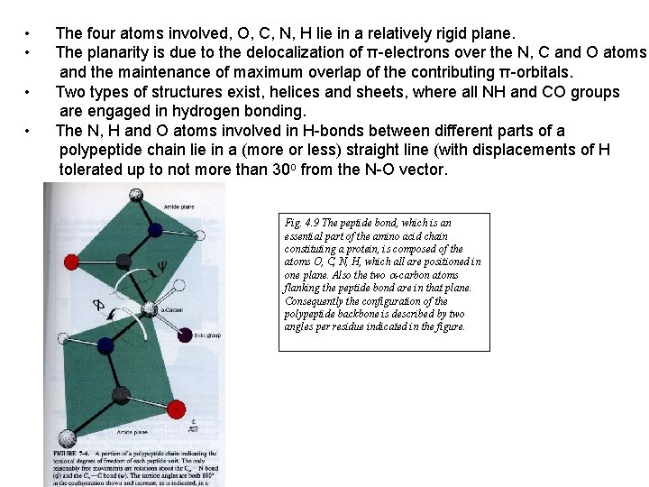  • • The four atoms involved, O, C, N, H lie in a