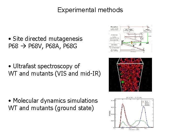 Experimental methods • Site directed mutagenesis P 68 V, P 68 A, P 68
