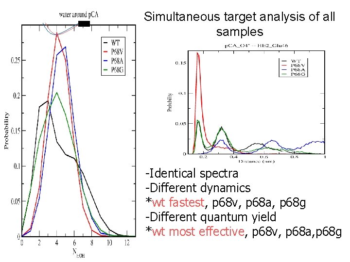 Simultaneous target analysis of all samples -Identical spectra -Different dynamics *wt fastest, p 68