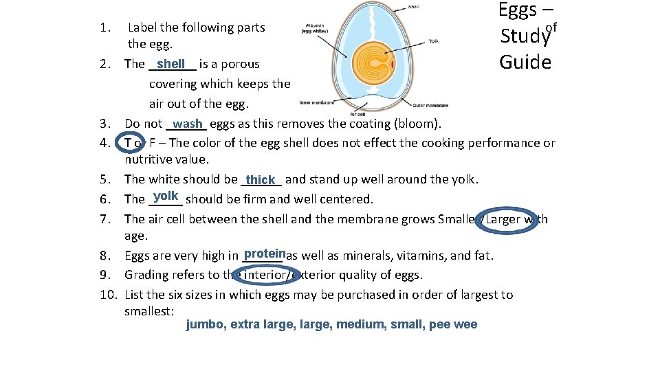 Eggs – of Study Guide 1. Label the following parts the egg. shell is