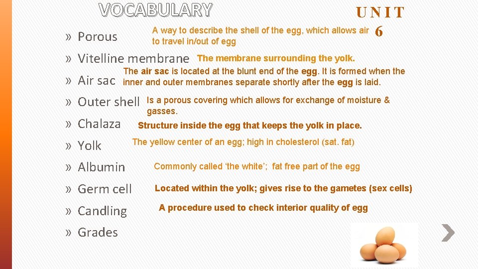 VOCABULARY UNIT A way to describe the shell of the egg, which allows air