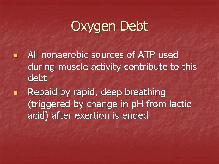 Oxygen Debt n n All nonaerobic sources of ATP used during muscle activity contribute