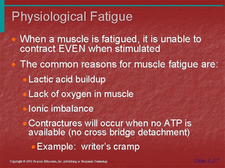 Physiological Fatigue · When a muscle is fatigued, it is unable to contract EVEN