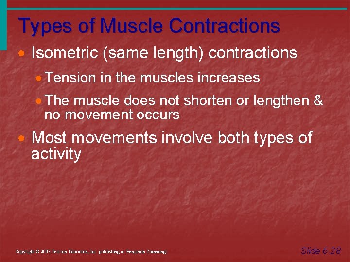 Types of Muscle Contractions · Isometric (same length) contractions · Tension in the muscles