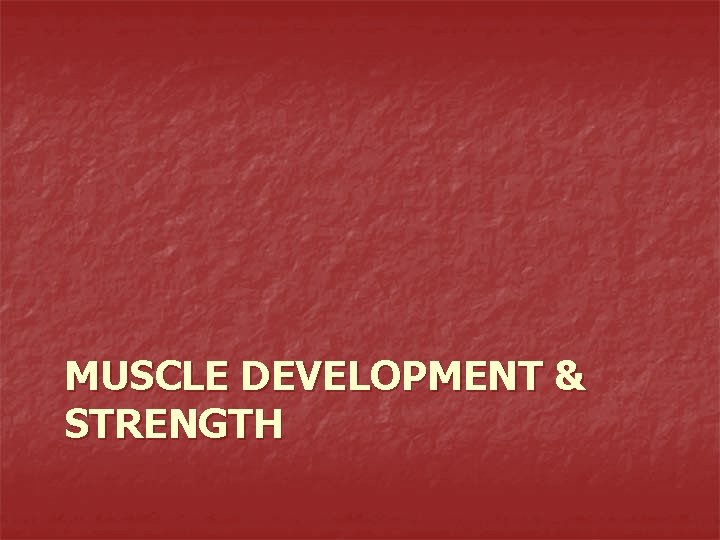 MUSCLE DEVELOPMENT & STRENGTH 