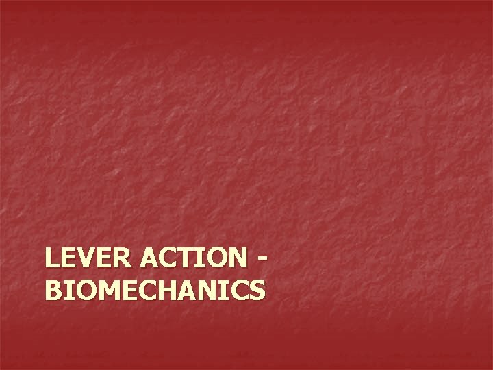 LEVER ACTION BIOMECHANICS 