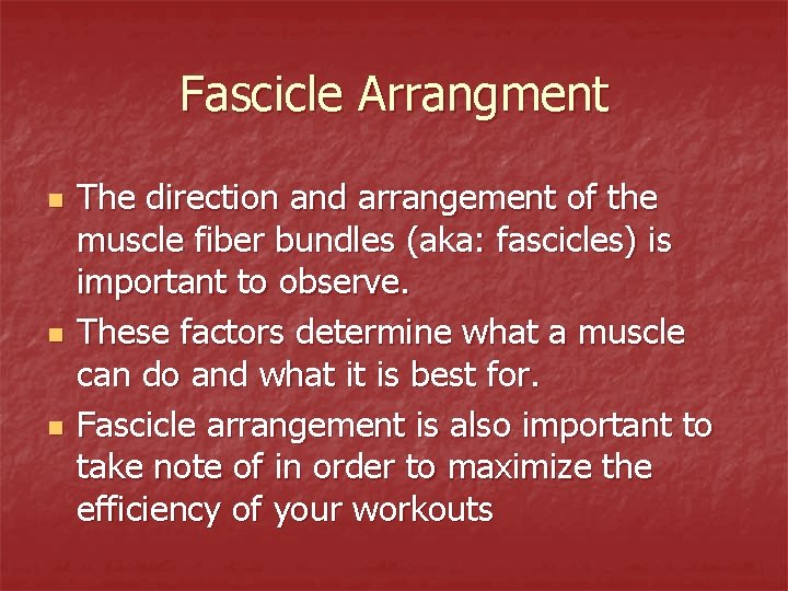 Fascicle Arrangment n n n The direction and arrangement of the muscle fiber bundles
