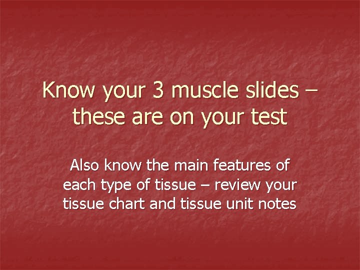 Know your 3 muscle slides – these are on your test Also know the