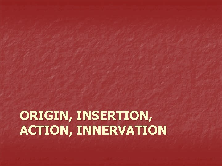 ORIGIN, INSERTION, ACTION, INNERVATION 