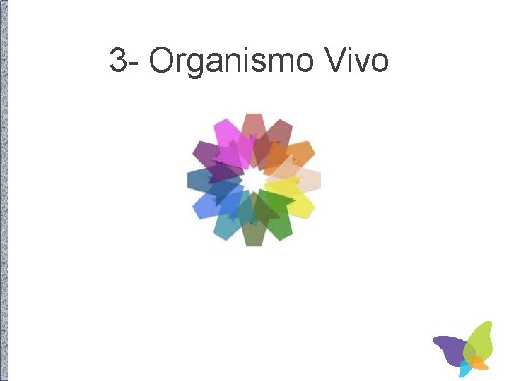 3 - Organismo Vivo 