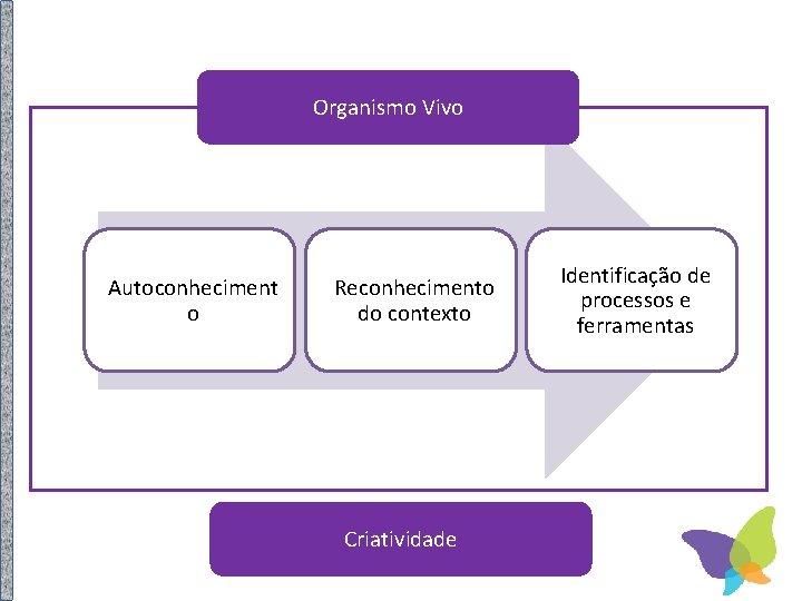 Organismo Vivo Autoconheciment o Reconhecimento do contexto Criatividade Identificação de processos e ferramentas 