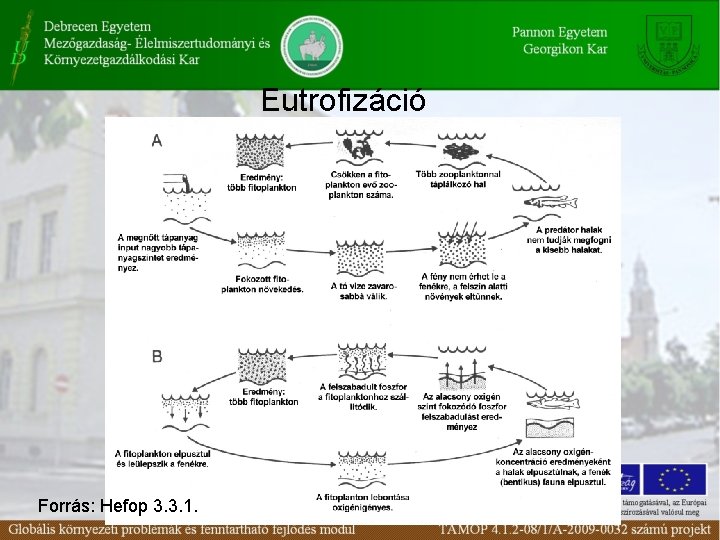 Eutrofizáció Forrás: Hefop 3. 3. 1. 