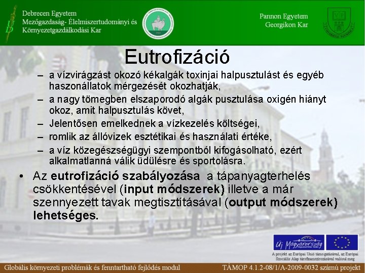 Eutrofizáció – a vízvirágzást okozó kékalgák toxinjai halpusztulást és egyéb haszonállatok mérgezését okozhatják, –