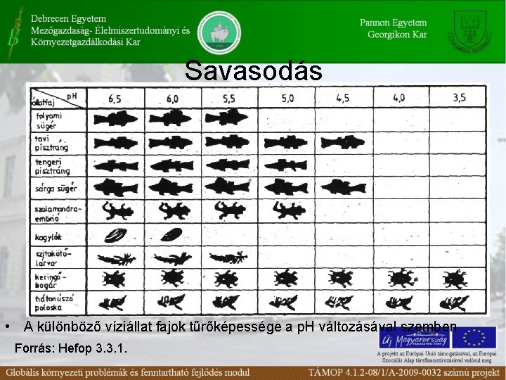 Savasodás • A különböző víziállat fajok tűrőképessége a p. H változásával szemben Forrás: Hefop Savasodás • A különböző víziállat fajok tűrőképessége a p. H változásával szemben Forrás: Hefop