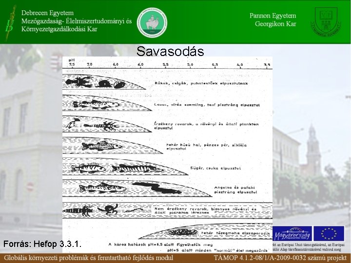 Savasodás Forrás: Hefop 3. 3. 1. 