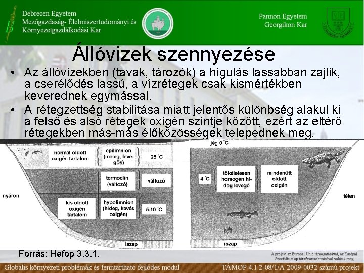 Állóvizek szennyezése • Az állóvizekben (tavak, tározók) a hígulás lassabban zajlik, a cserélődés lassú,