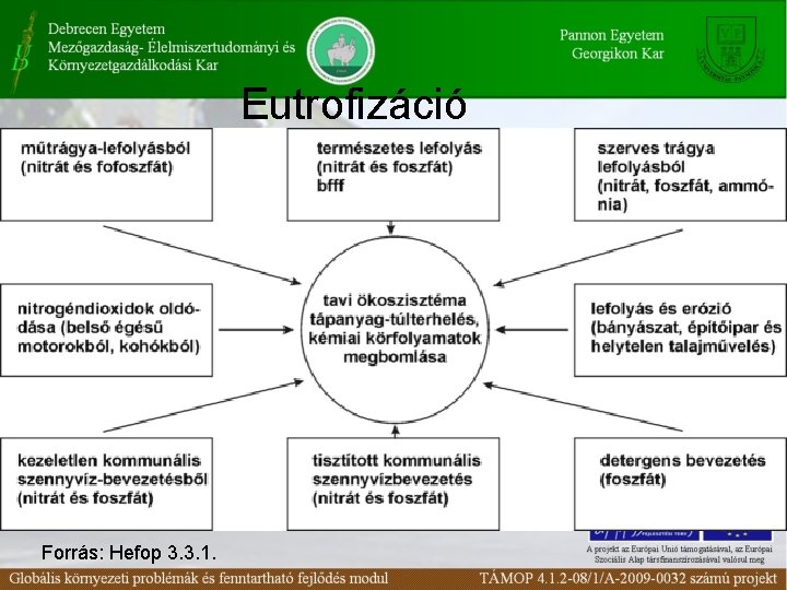 Eutrofizáció Forrás: Hefop 3. 3. 1. 