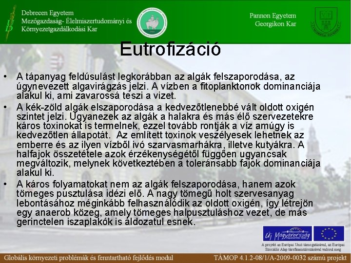 Eutrofizáció • A tápanyag feldúsulást legkorábban az algák felszaporodása, az úgynevezett algavirágzás jelzi. A