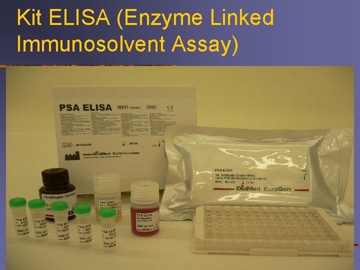 Kit ELISA (Enzyme Linked Immunosolvent Assay) 