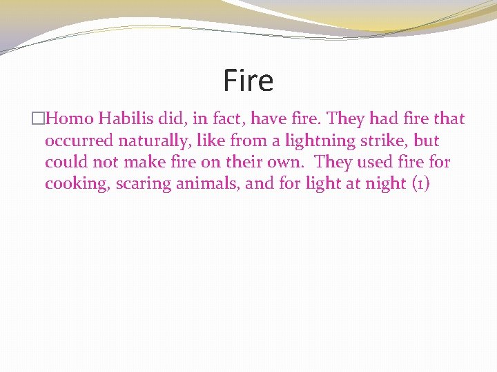 Fire �Homo Habilis did, in fact, have fire. They had fire that occurred naturally,