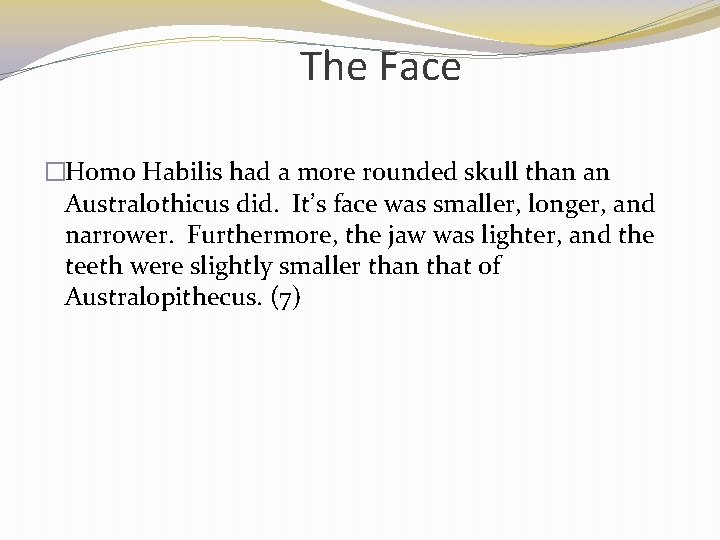 The Face �Homo Habilis had a more rounded skull than an Australothicus did. It’s