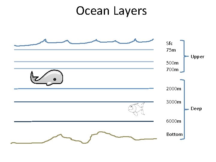 Ocean Layers Sfc 75 m 500 m 700 m Upper 2000 m 3000 m