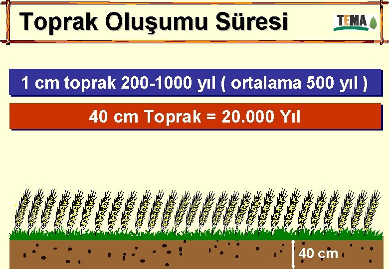 Toprak Oluşumu Süresi 1 cm toprak 200 -1000 yıl ( ortalama 500 yıl )