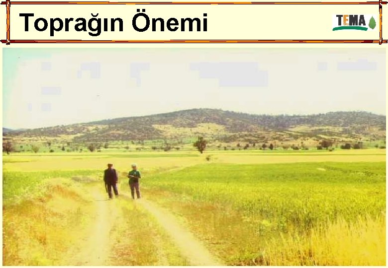 Toprağın Önemi 